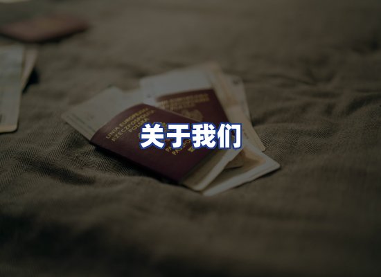 专业团队